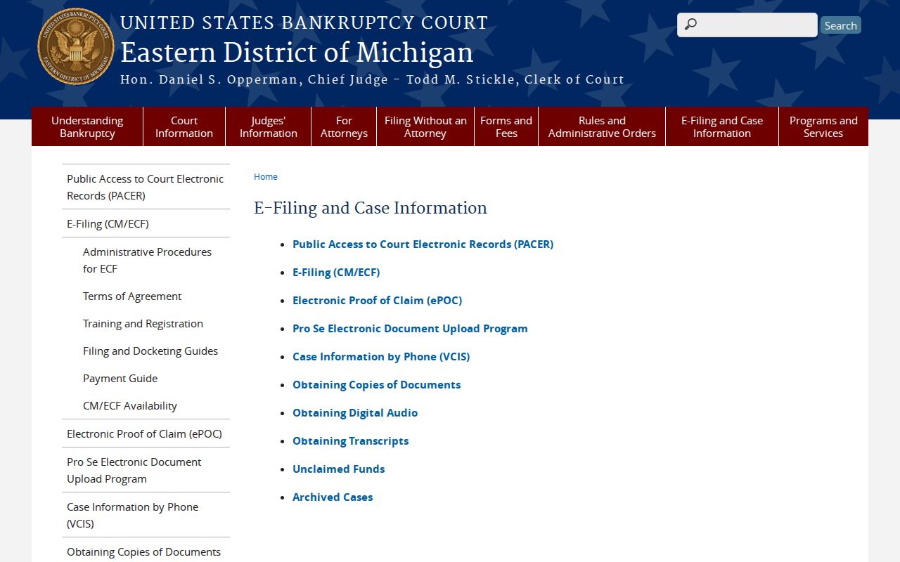 Detroit court docket and court record access through a federal court case-information source